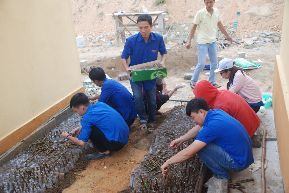 Chi đoàn Sở Khoa học & Công nghệ:  Ươm giống 2000 cây dã quỳ tại đèo Sa Mù, huyện Hướng Hóa